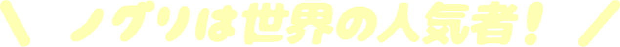 ＼ ノグリは世界の人気者！ ／